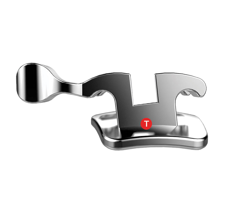 schema torque in base